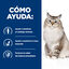 Hill's Prescription Diet Mobility j/d pienso para gatos, , large indicador imagen numero 7